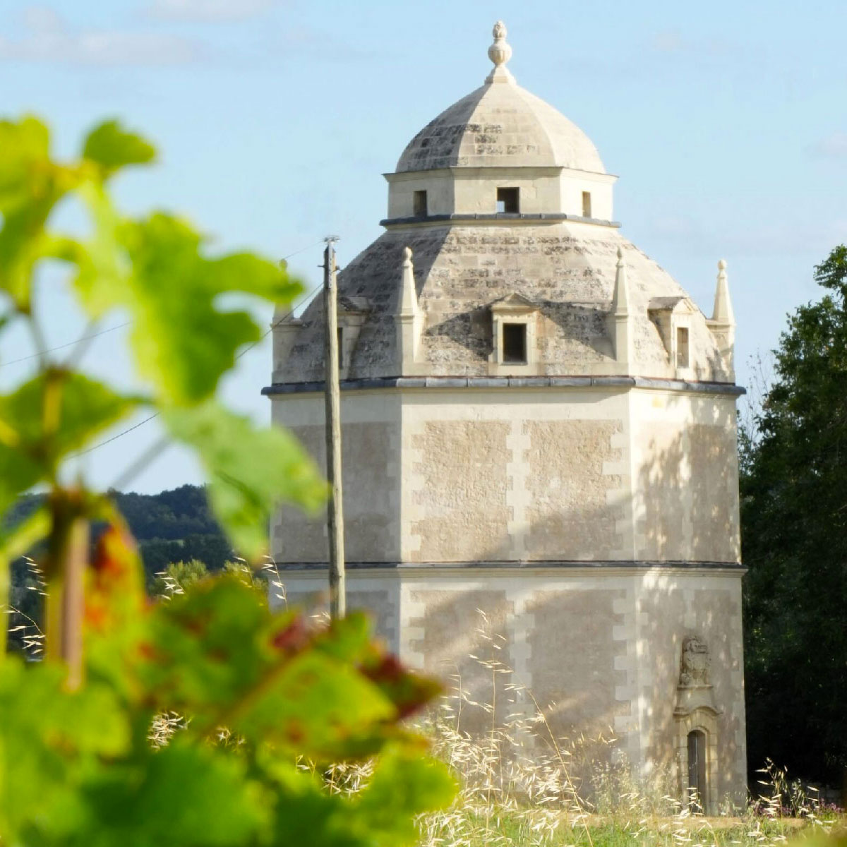 chateau-roncee-03