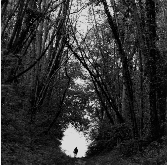 Histoires d’hommes, de femmes et d’arbres.