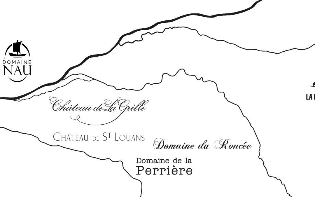 Quelle différence entre Chinon et Bourgueil ?